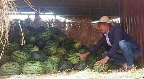 千佛山娱乐团队吃瓜群众,吃瓜群众揭秘幕后故事 第1张 千佛山娱乐团队吃瓜群众,吃瓜群众揭秘幕后故事 第1张